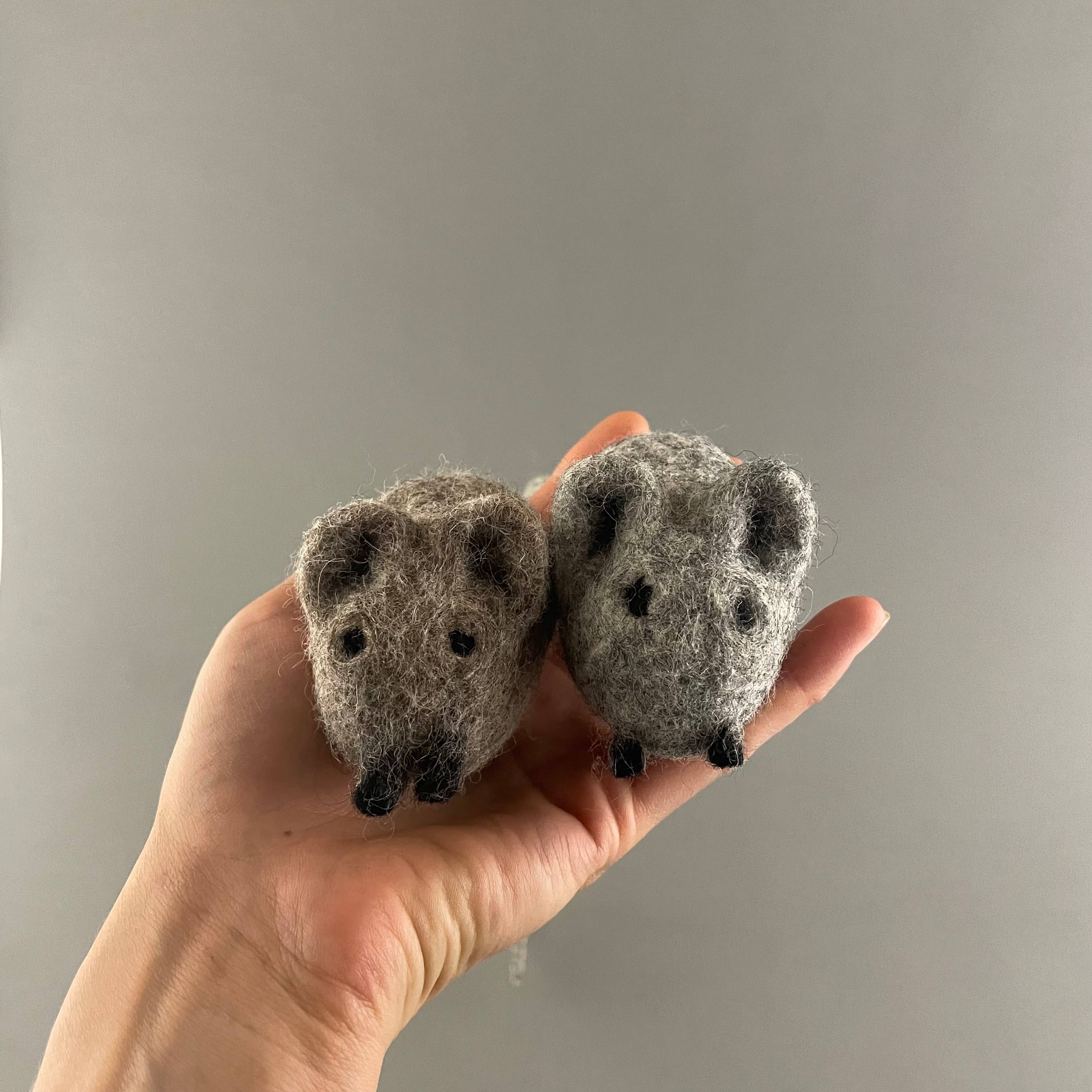 Pawsome Pet Toys - Vente Set de jouets – chat - Set de jouets pour chat en laine et chanvre naturel avec 5 pièces2