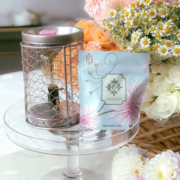 Blossom - Wholesale Wax Warmer - Vintage Metal Wax Warmer + Blossom Scented Wax Melt Kit