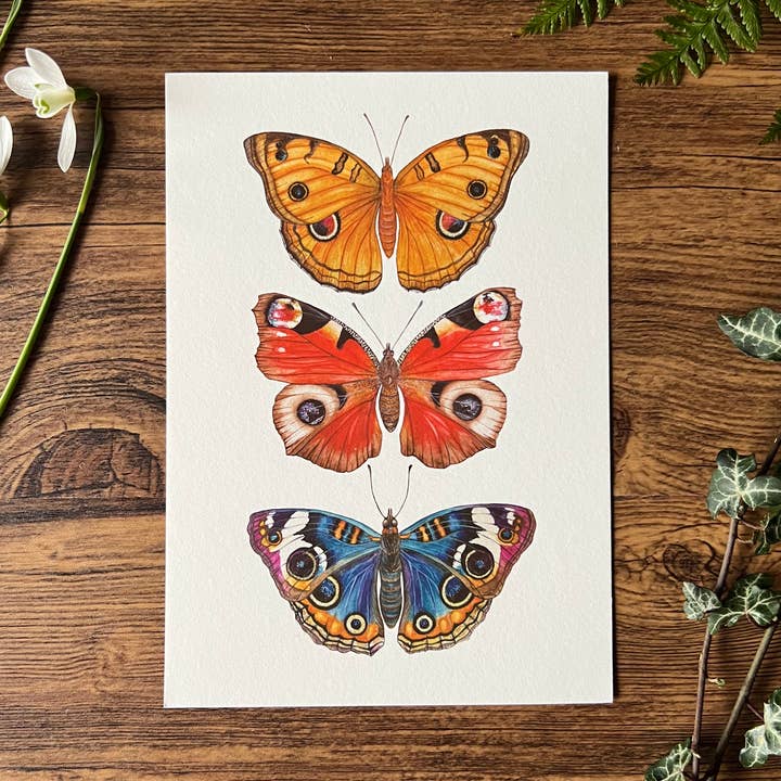 Butterflies with Eyes for wholesale by Tansy Moore