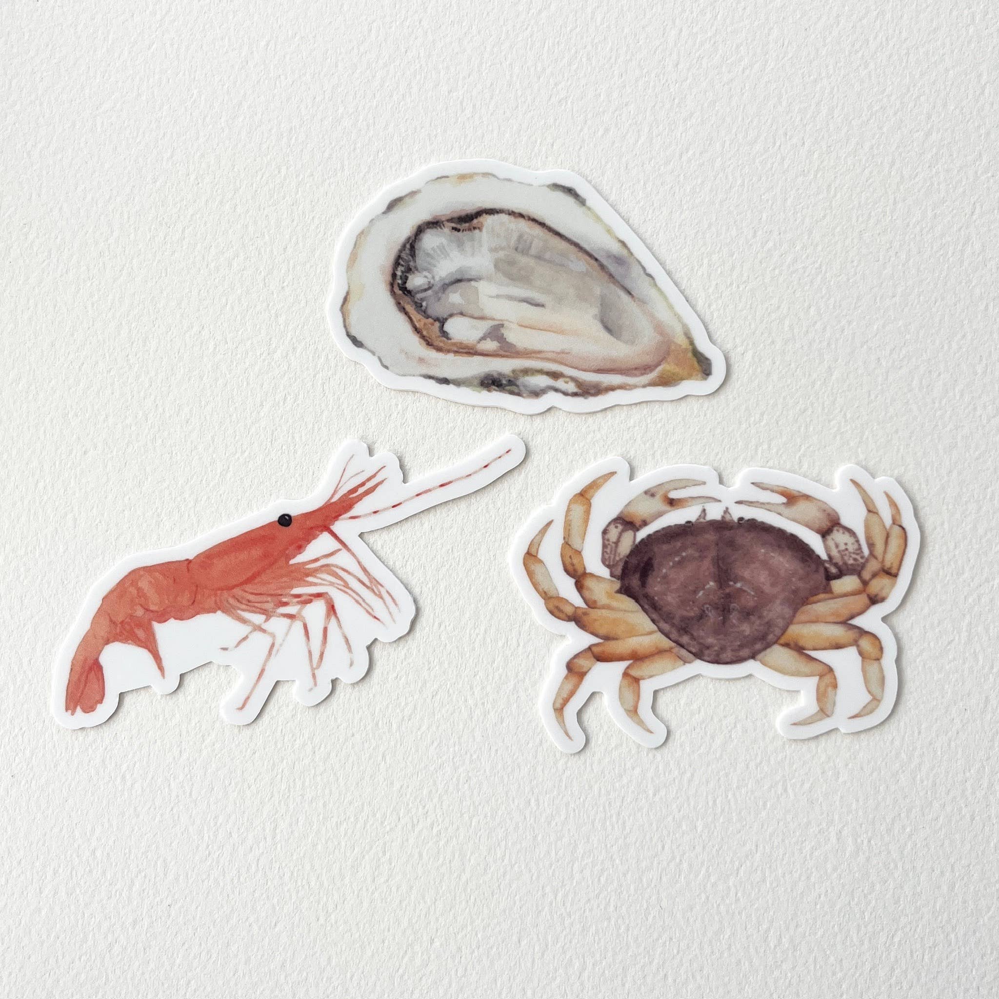 Sophie Tivona Paper - Wholesale Sticker - Sea Life Shellfish Sticker Pack - Prawn, Oyster, Dungeness Crab3