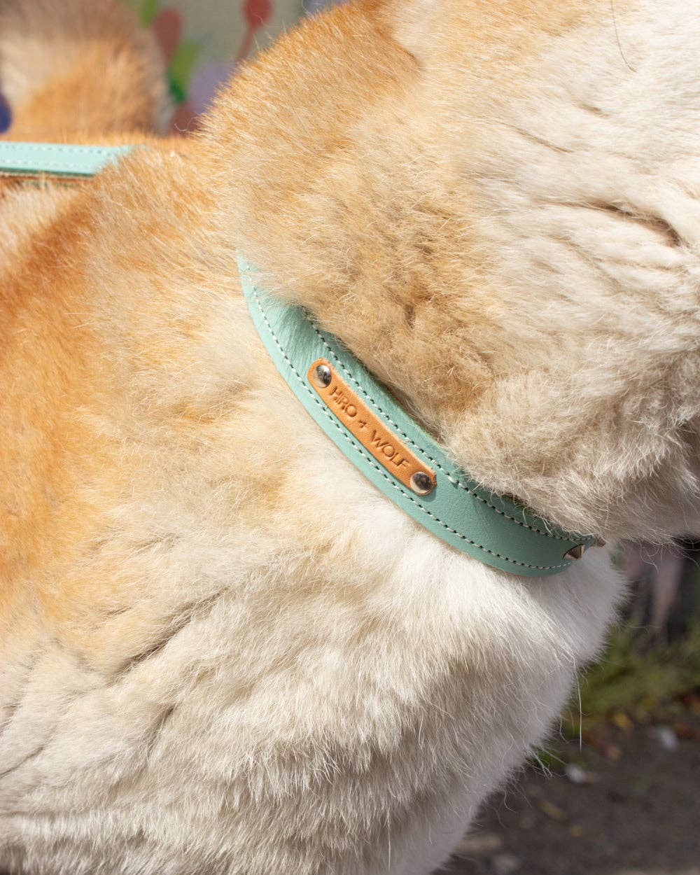 Hiro + Wolf – wholesale Pet collar – Dog – Luxury Leather Duo Tone Studded Dog Collar 'Mint + Tan'10