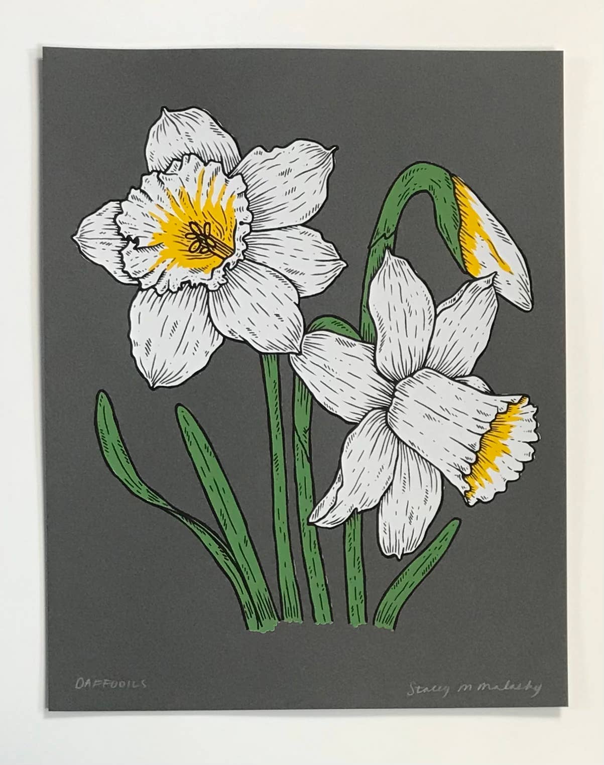 Stacey Malasky - Wholesale Art Print - Daffodils Print1