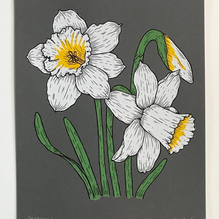 Stacey Malasky - Wholesale Art Print - Daffodils Print1