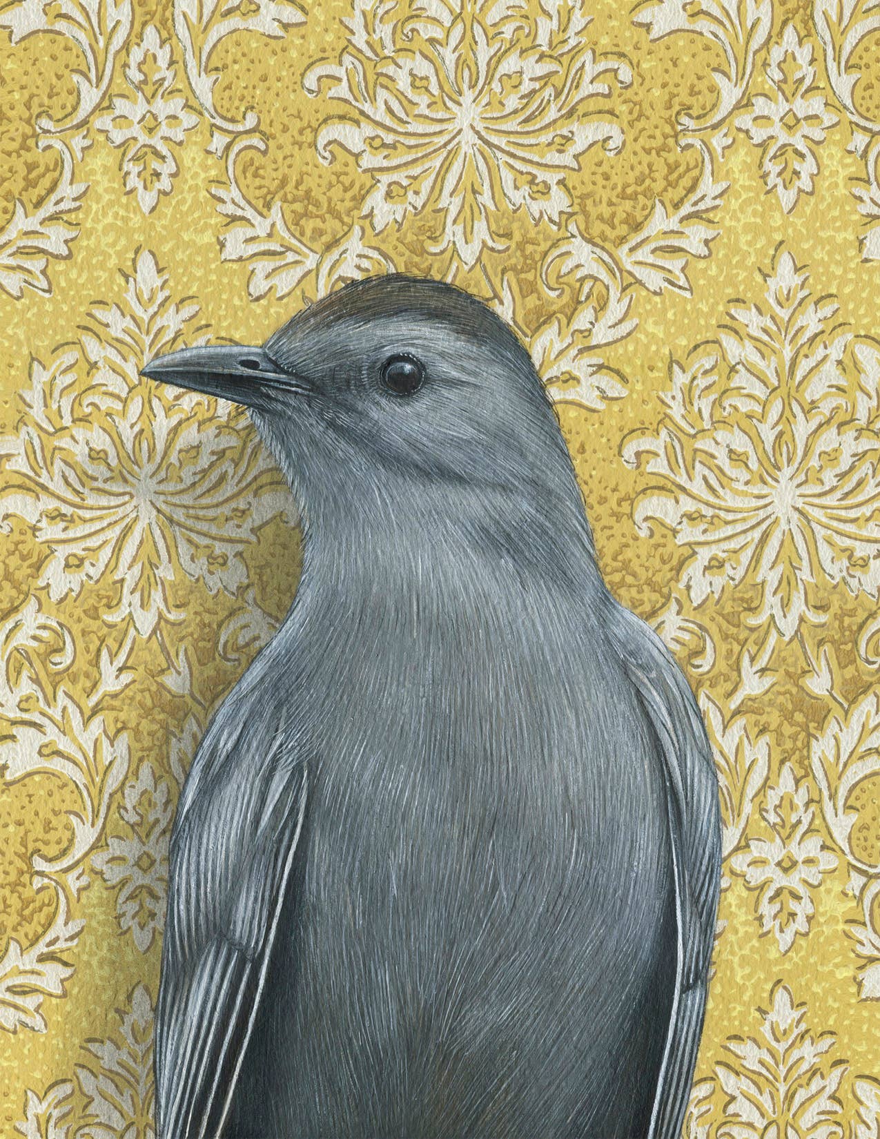 Emily Uchytil – Engroshandel Hverdagshilsen kort – Catbird - Note-kort1