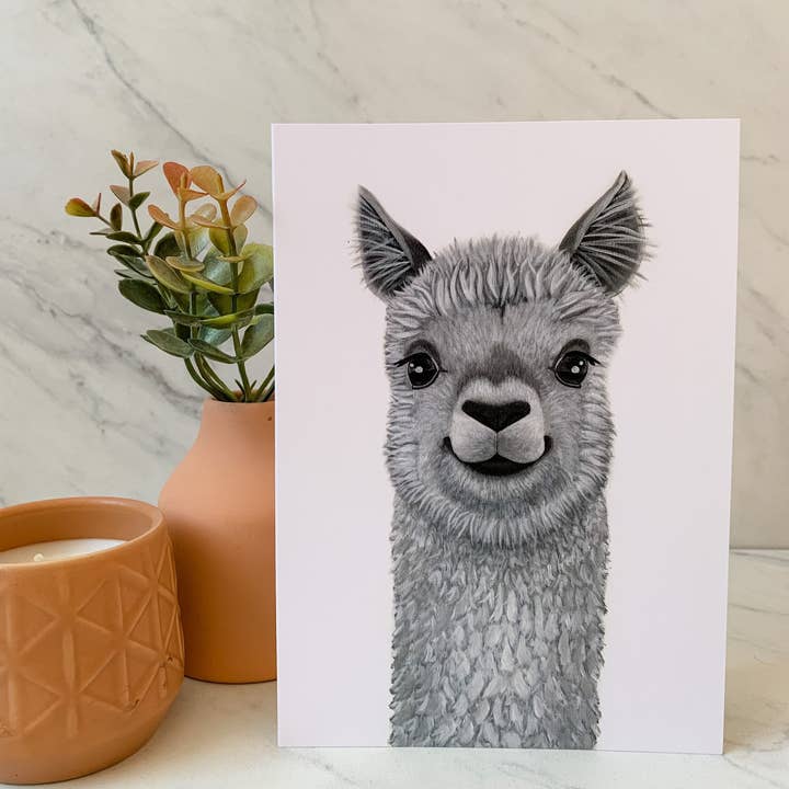 Alpaca lykønskningskort, 5x7 lykønskningskort for engroshandel hos Reflections by Megan