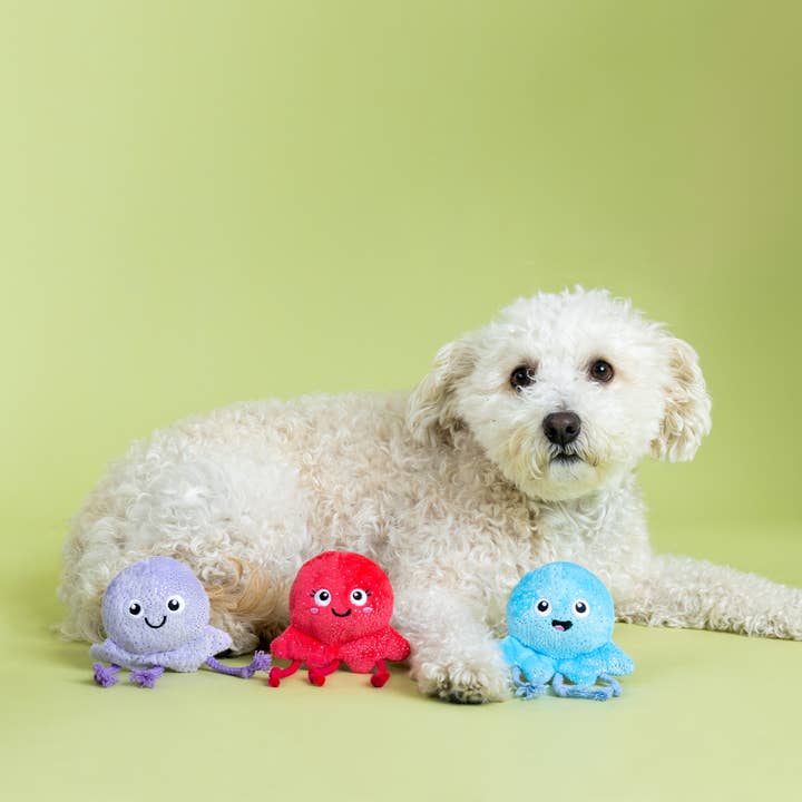 Petshop by Fringe Studio - Wholesale Pet Toy Set - Dog - TOO TENTACOOL 3PC SMALL DOG TOY SET