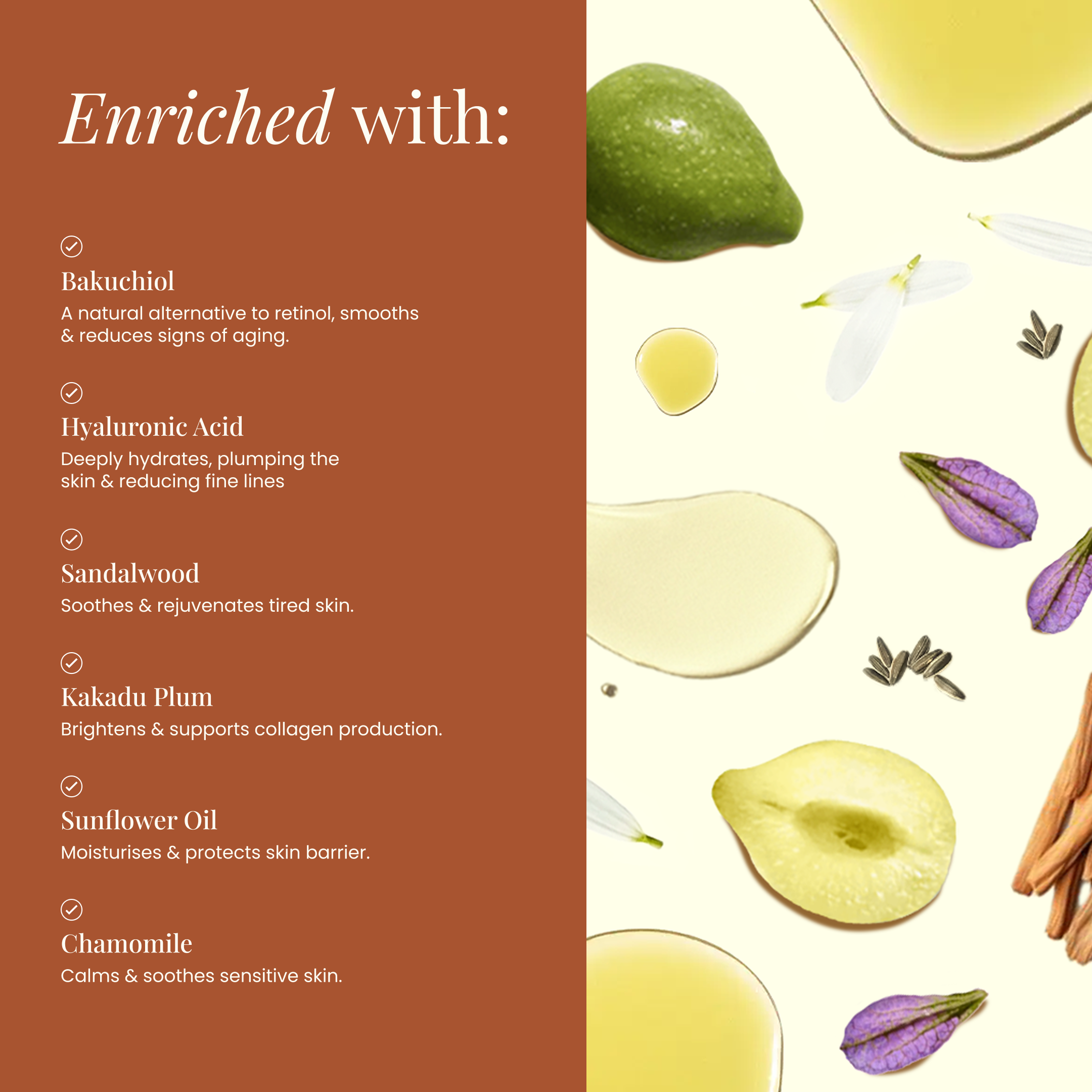 Wild Bee skincare - Wholesale Facial Serum/Concentrate - Daily Revive - Bakuchiol & Hyaluronic Acid 30ml Ser2