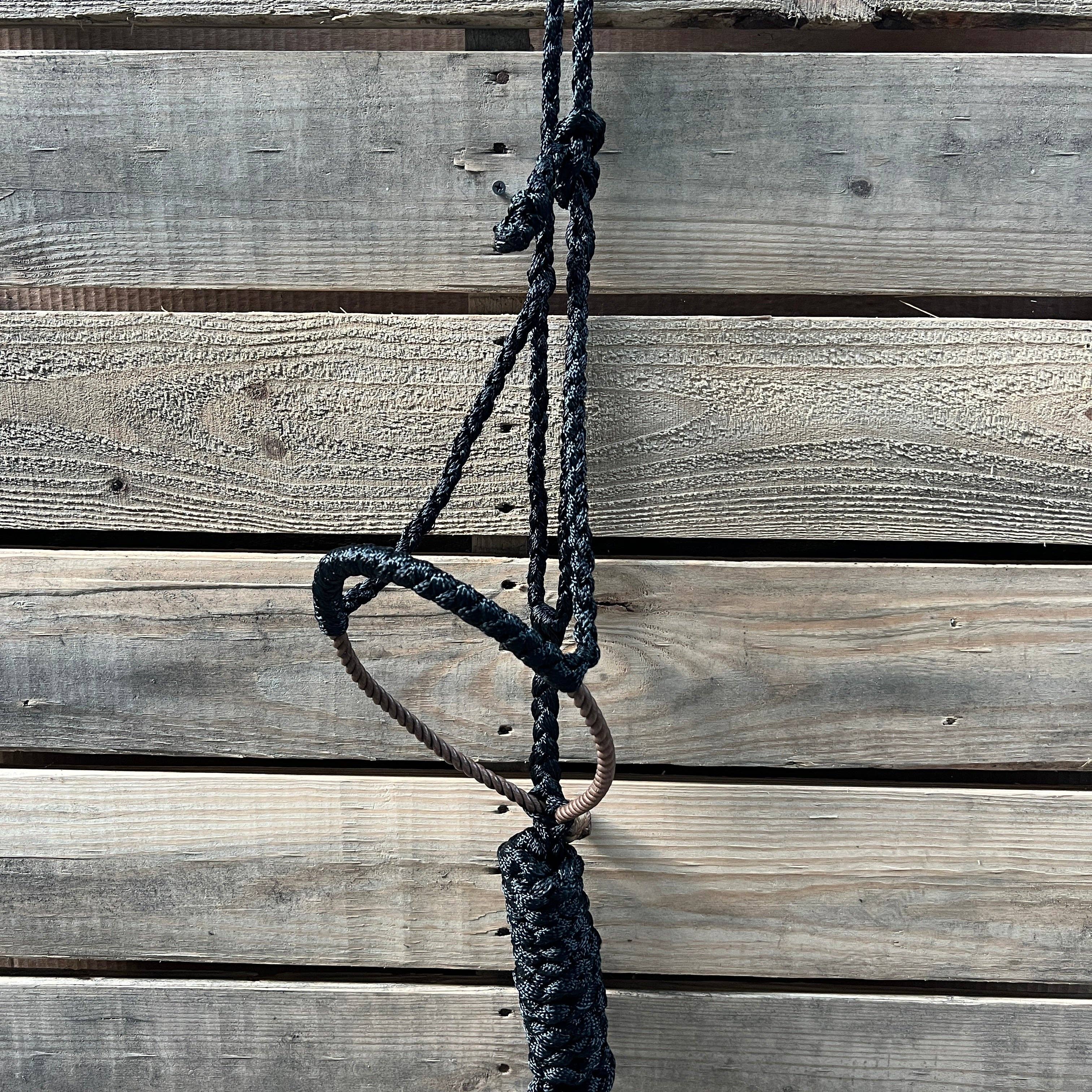 Rodeo Drive – Großhandel Reitausrüstung – Lariat Mule Tape Halfter, verschiedene Farben5