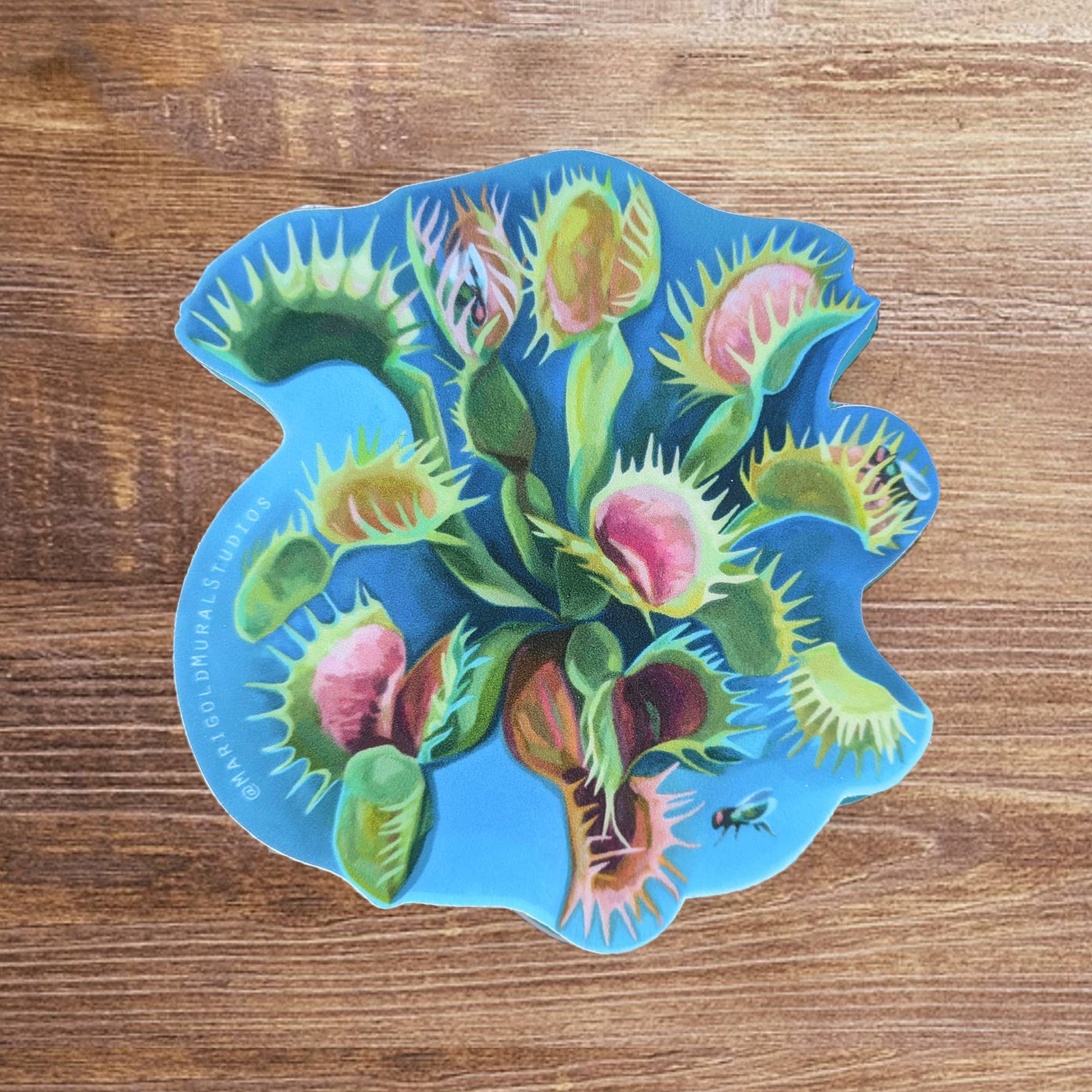 Marigold Art Studios - Wholesale Sticker - Venus Fly Trap Sticker