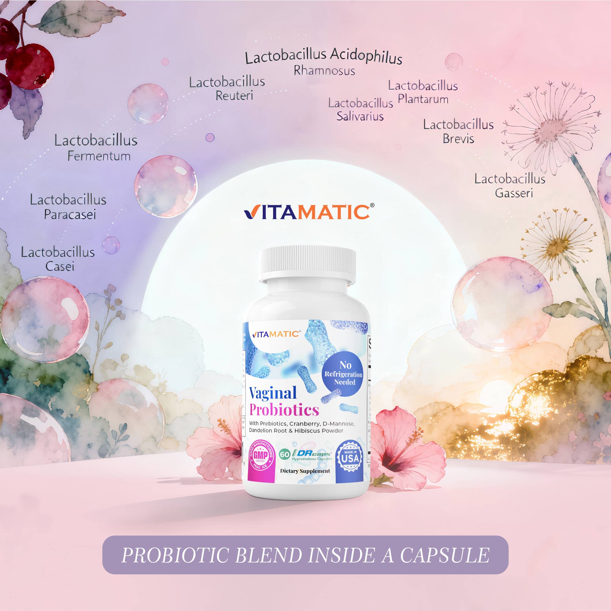 Vitamatic - Wholesale Oral Supplement/Vitamin - Vitamatic | Vaginal Probiotics 20 Billions 60 DR Capsules4