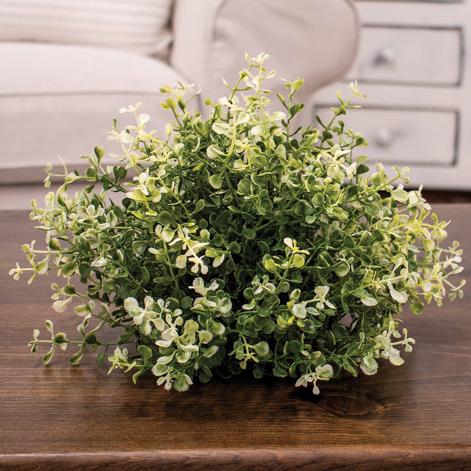 Col House Designs - Wholesale Artificial Plant - Cream Tipped Baby's Grass Half Sphere - 9" x 7"1