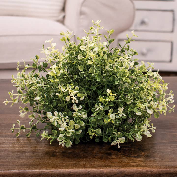 Saybrook Lane - Wholesale Artificial Plant - Cream Tipped Baby's Grass Half Sphere - 9" x 7"1