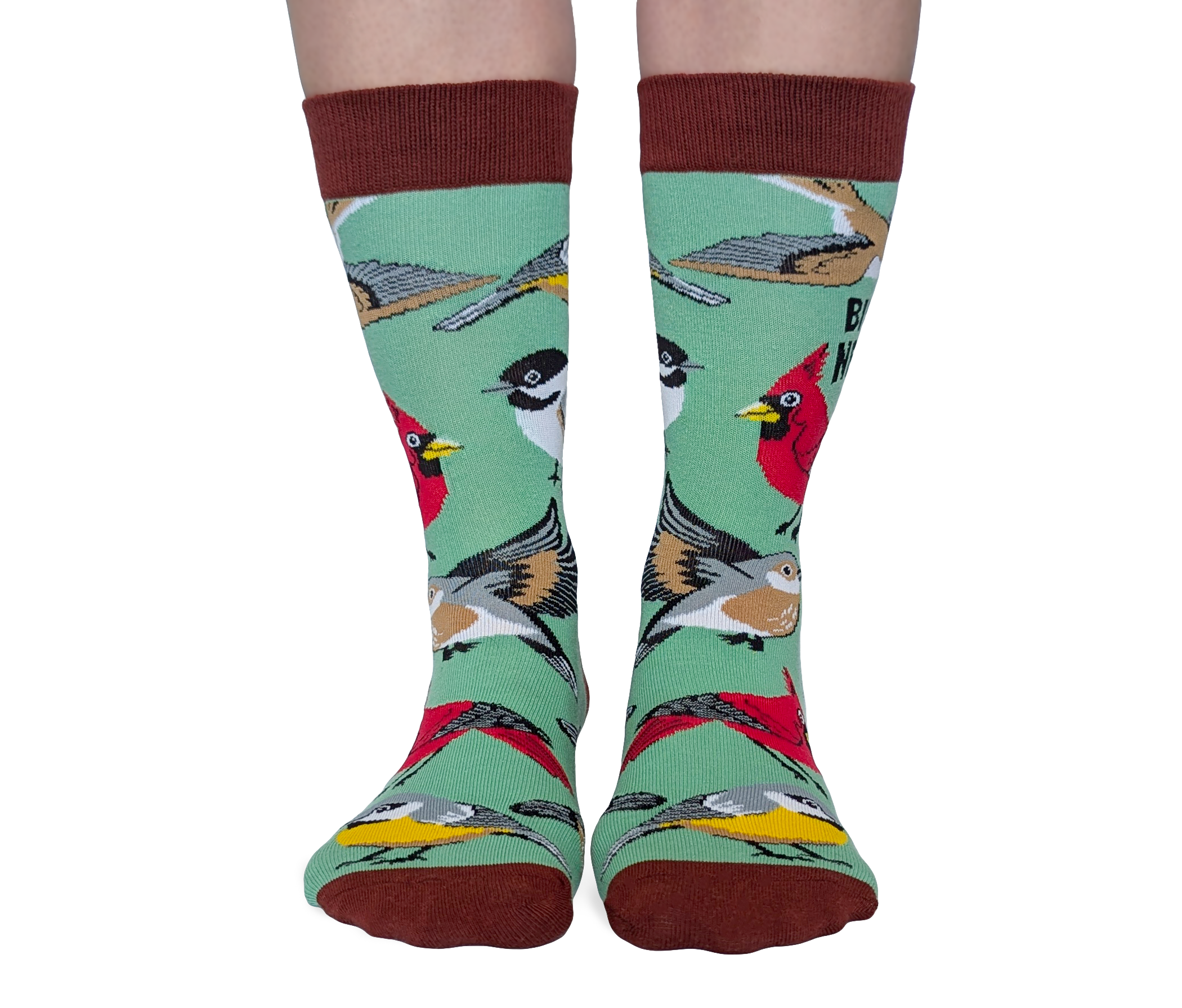 Uptown Sox - Wholesale Socks - Women's - Bird Nerd Socks - S/M (Women)1