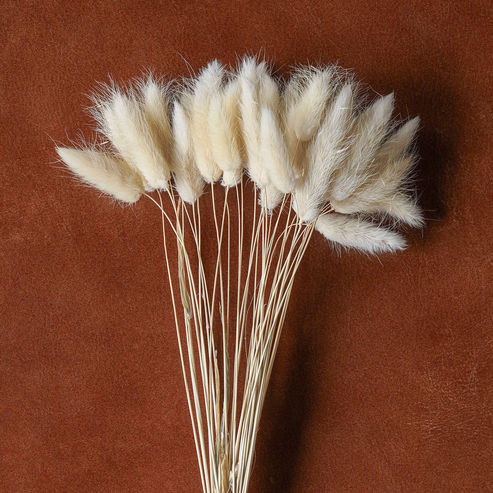 Blue Ocean Traders - Wholesale Dried/Pressed Flowers - Mixed Dried Grasses and Florals Bleached, 20"8