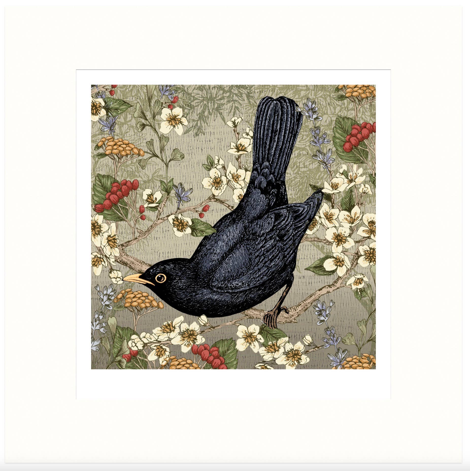 Helen Briggs Design - Vente Affiche d'art - Impression d'art Merle1