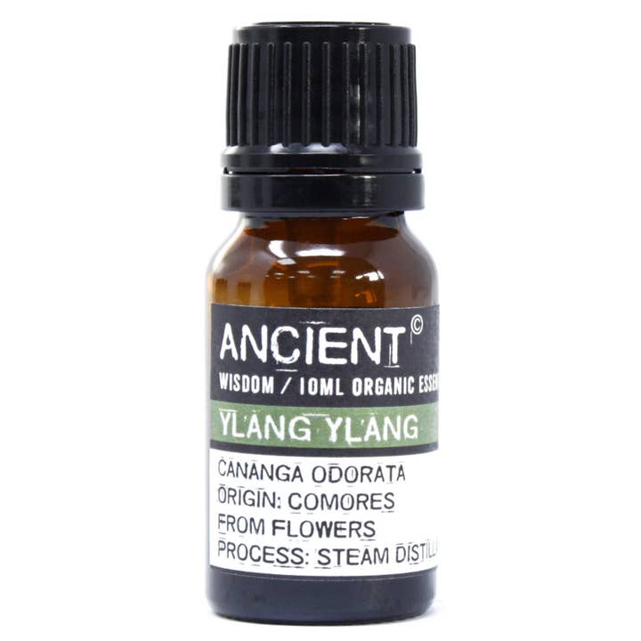 Ylang Ylang Organic Essential Oil 10ml for wholesale by Ancient Wisdom