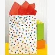 Rainbow Polka Dot Gift Bag for wholesale by Party Expo, LLC