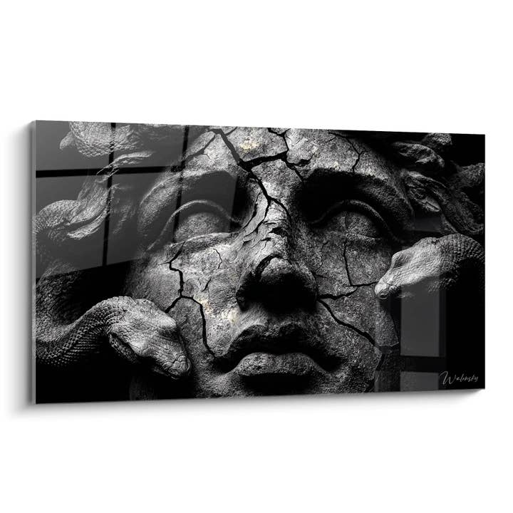 Indviklede slanger - Reptilfusion - Sort-hvid karakterudgave for engroshandel hos Walensky