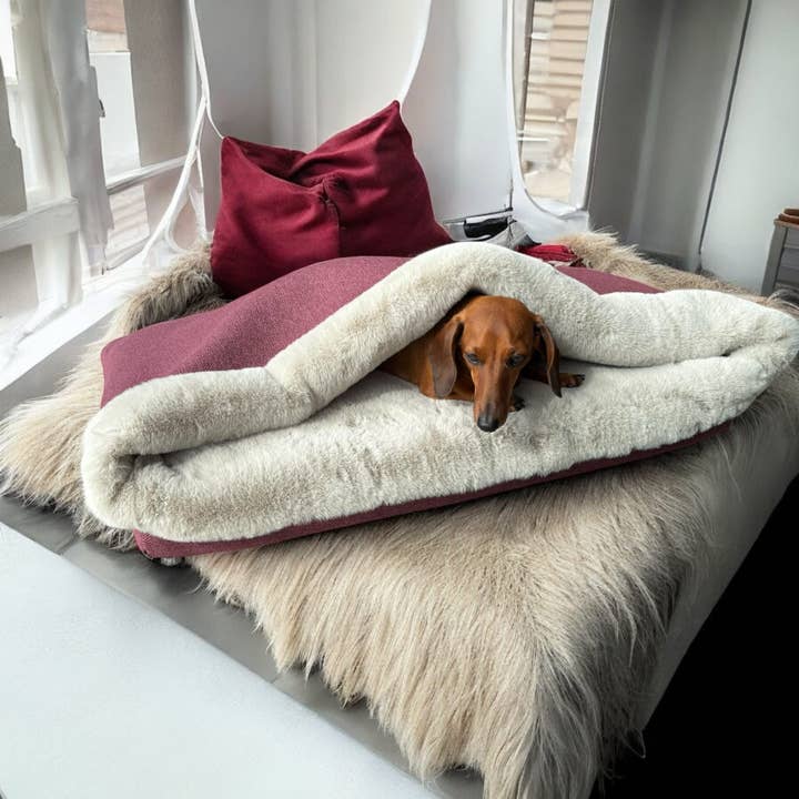 Begränsad upplaga - Snuggle Cave, storlek Rain, storlek M för wholesale av I-Dogs