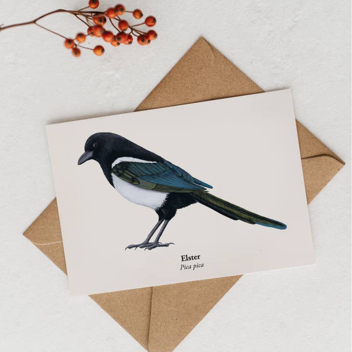 Terillu - Wholesale Postcard - Postcard Magpie, Art Postcard with Magpie Drawing3