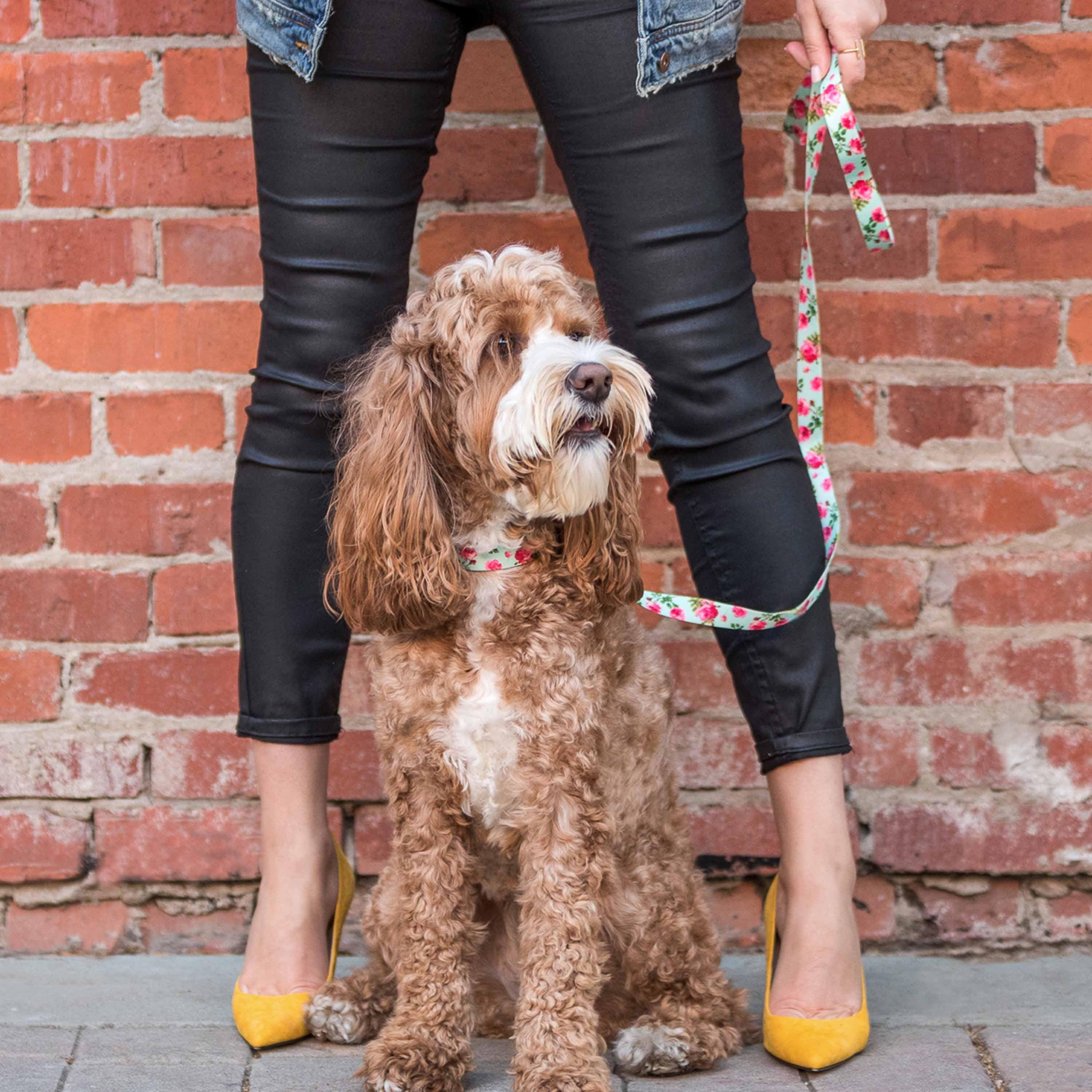 Blueberry Pet - Wholesale Halsband - Hond - Lichtgewicht verstelbare hondenhalsband met lente bloemenpatroon25