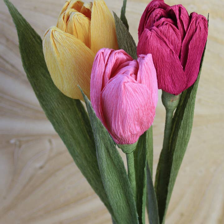 Papercraft Miracles LLC – Großhandel Künstliche Blumen – Tulpe Krepp-Papier-Blume