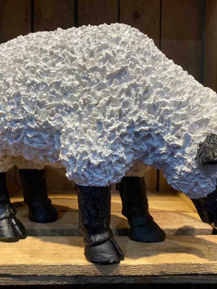 Schwarz-weiße stachelige Schafe - Unten für den Großhandel von ABitQuackers