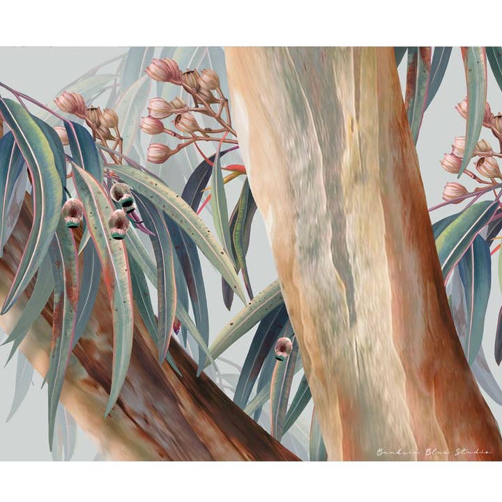 "Boroondara" | Australian Blue Gum Eucalyptus Landscape for wholesale by Banksia Blue Studio