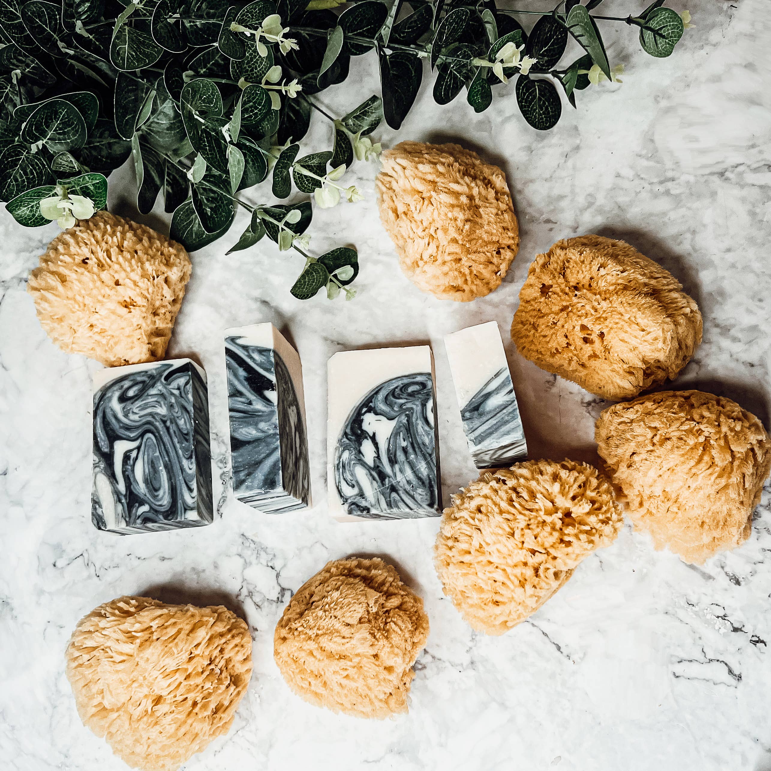 Gia Roma - Wholesale Bath Pouf/Sponge - Dead Sea Sponge, All Natural Body Wash Loofah 4-5"22