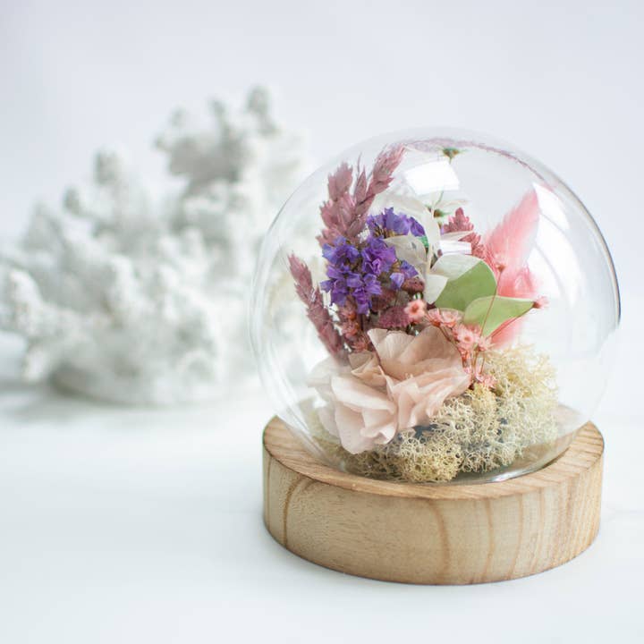 Dried Flower Globe- Medium for wholesale by pampas studio uk