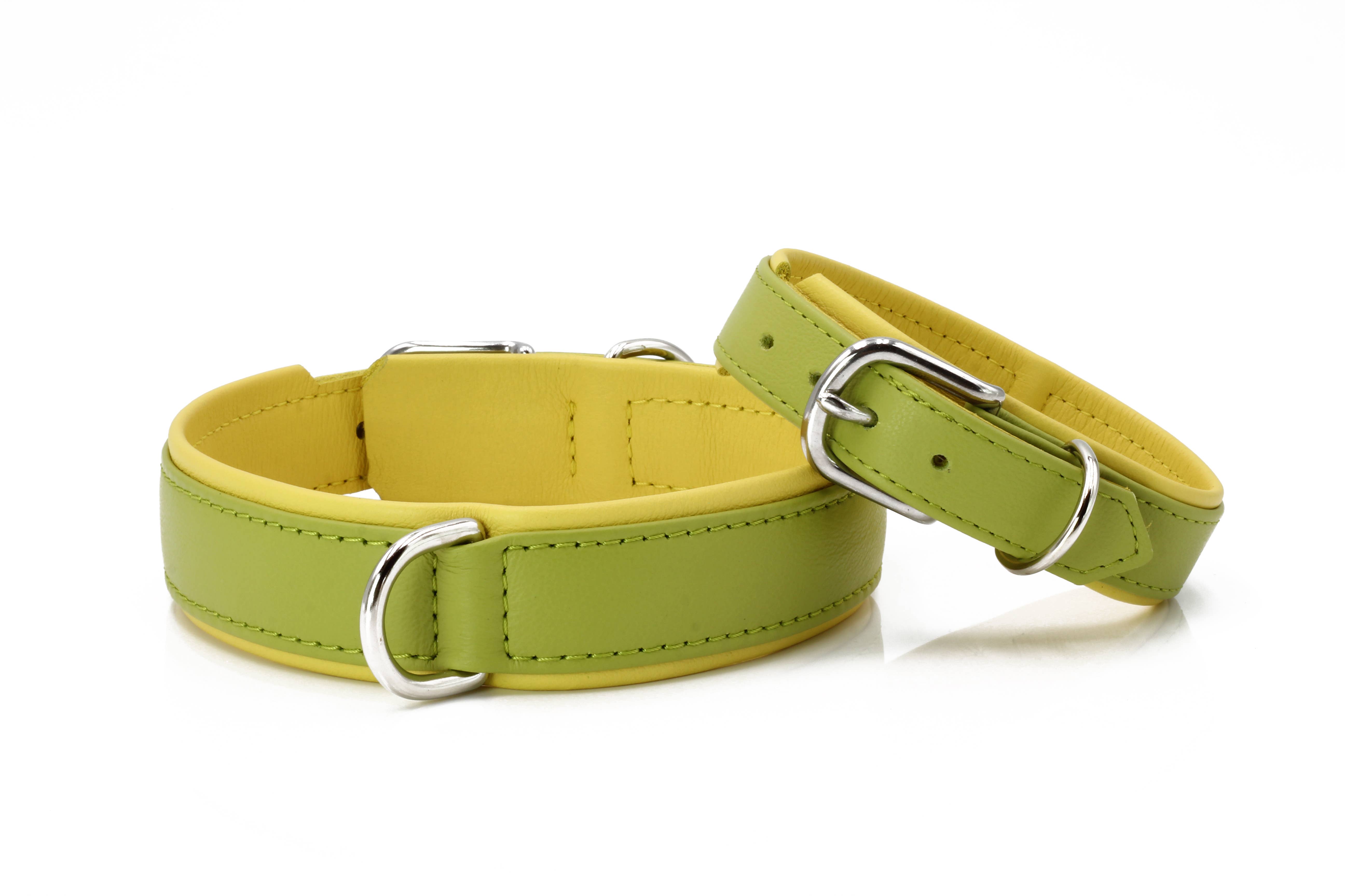 LABONI - Volentis GmbH - Wholesale Pet Collar - Dog - AMICI dog collar0