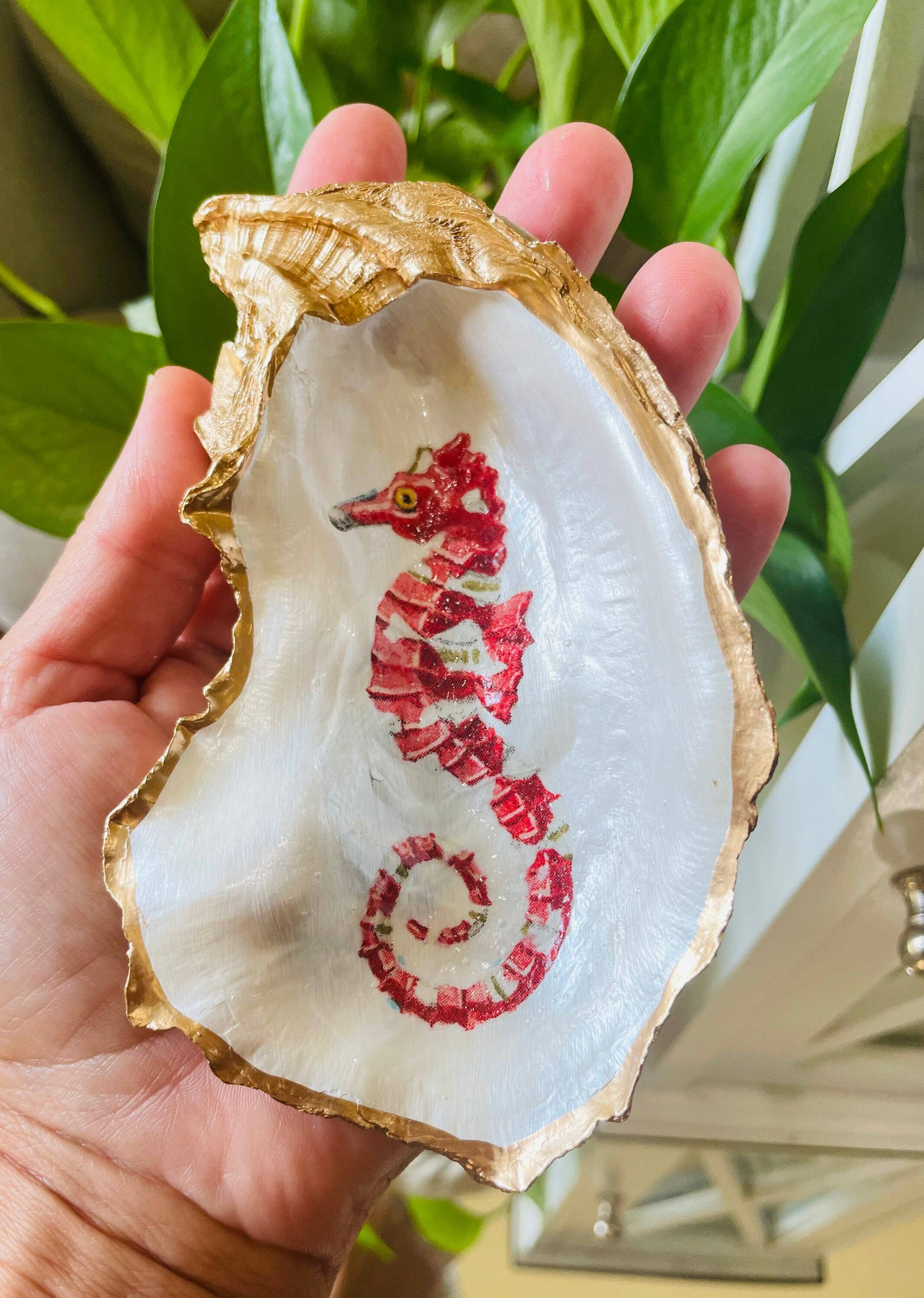 Shells by Shea - Wholesale Jewelry Dish - Oyster Shell trinket Dish, Seahorse Oyster Trinket Dish3