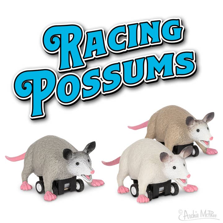 Archie McPhee - Pull Back Racing Possums for wholesale by William Valentine Collection
