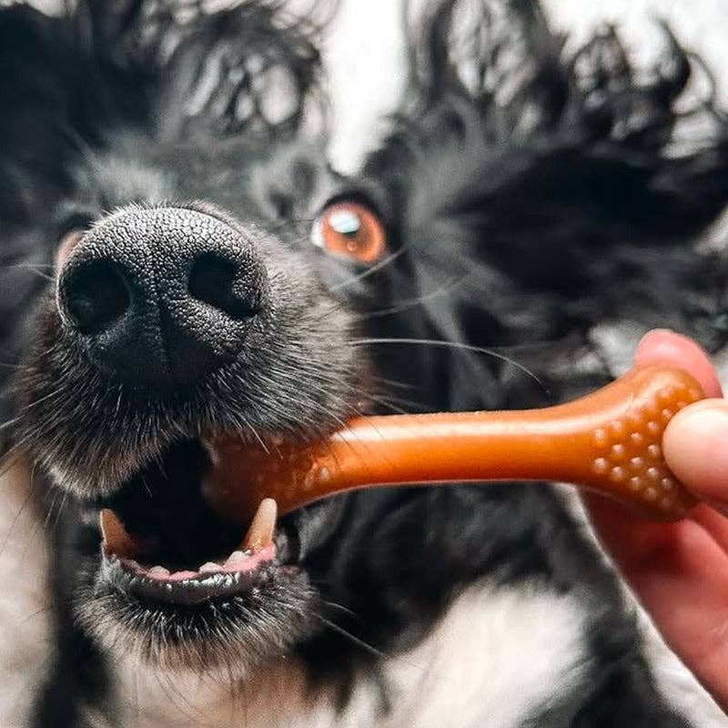 Miro & Makauri – wholesale Pet treats – Dog – Vegan Dog Treats - Maks Patch 'Nubby Bones'1