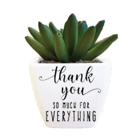 The H&H Group - Wholesale Artificial Plant - Sentiment Succulent - Thank you0