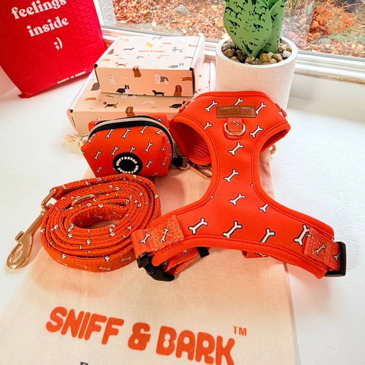 Coral Fetch AllSet™ Harness Matching Bundle (D Ring) for wholesale by Sniff & Bark
