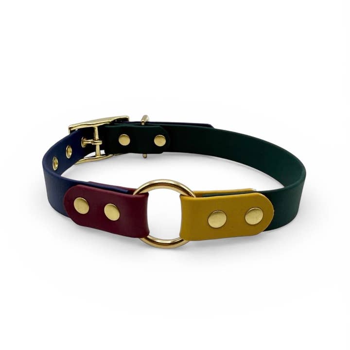 Splash By Happy - Wholesale Pet Collar - Dog - Le Club Universitaire1