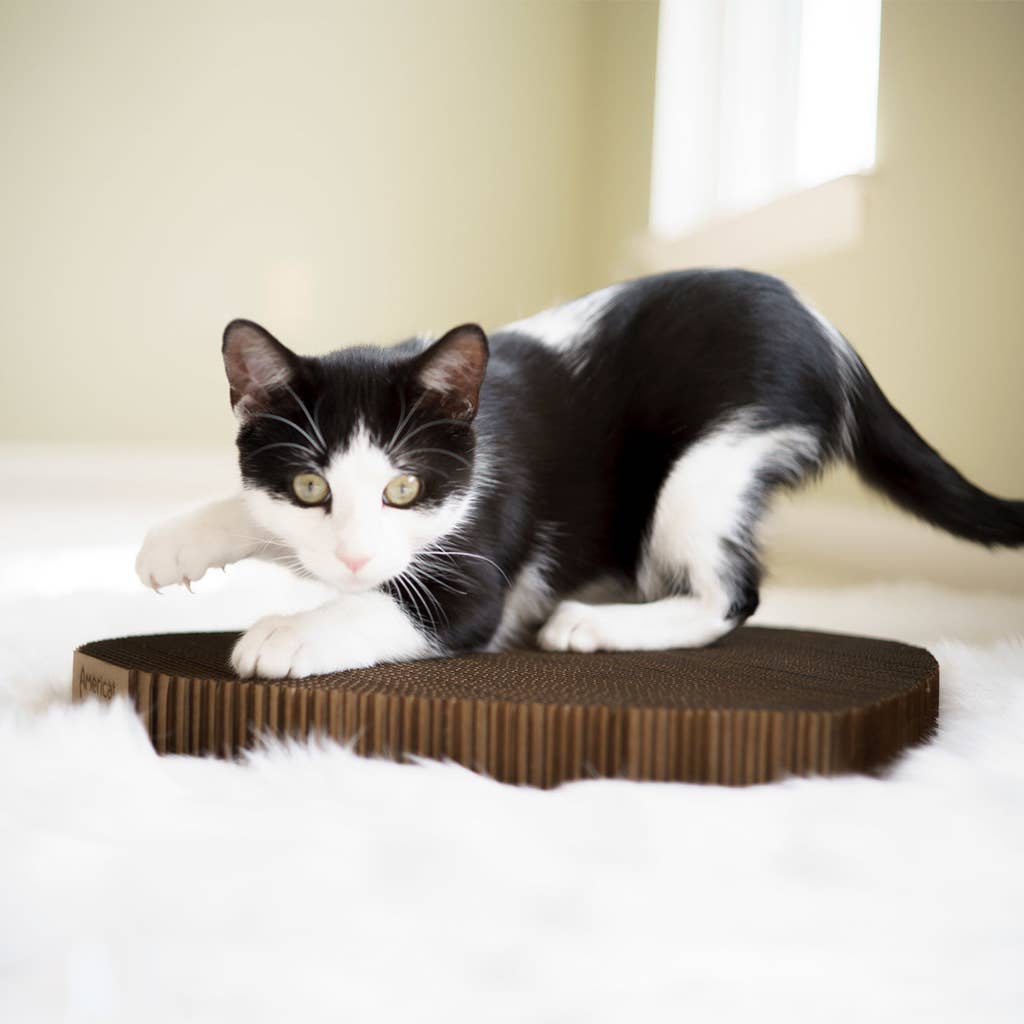 Americat Company - Wholesale Pet Scratcher - Cat - Eco-friendly, Made in USA Cat Scratching Pads4