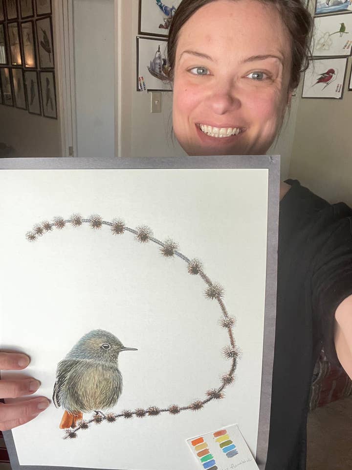 Zwarte Roodstaart - Giclée Print voor wholesale door Bird Art by KB