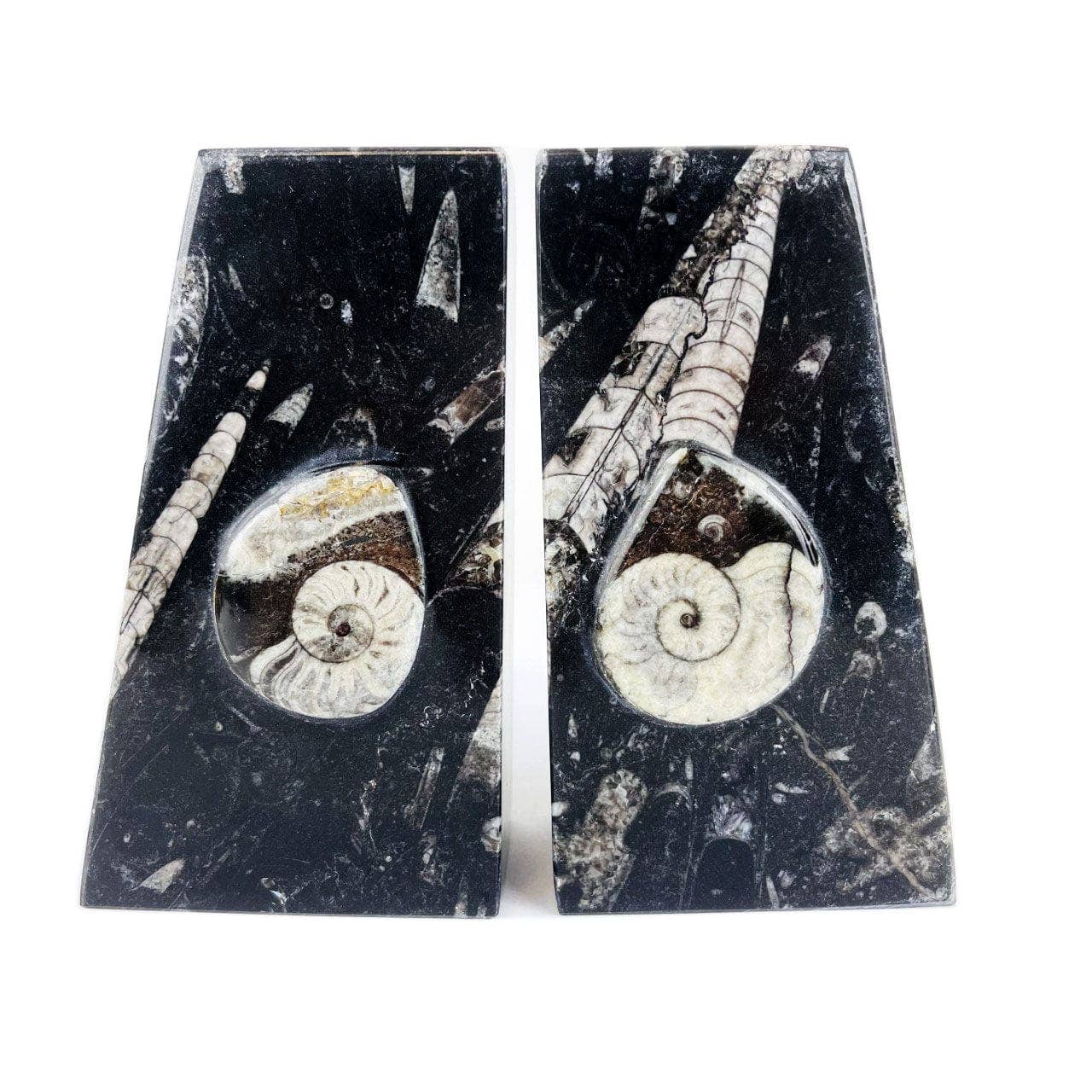 Rock Paradise - Wholesale Boekensteun - Fossiele boekensteunen van Orthoceras en Ammonite7