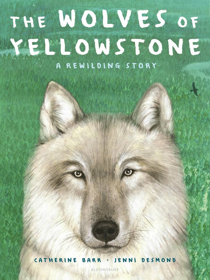 Wolves Of Yellowstone: A Rewilding Story for wholesale by Macmillan Publishers