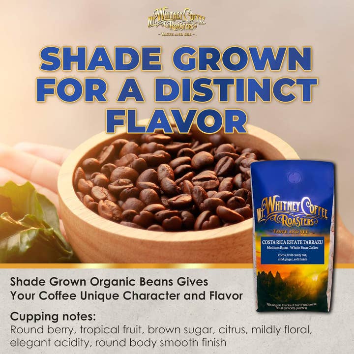 Costa Rica Estate Tarrazu 2lb Café de Grão Inteiro por atacado de Mt. Whitney Coffee Roasters