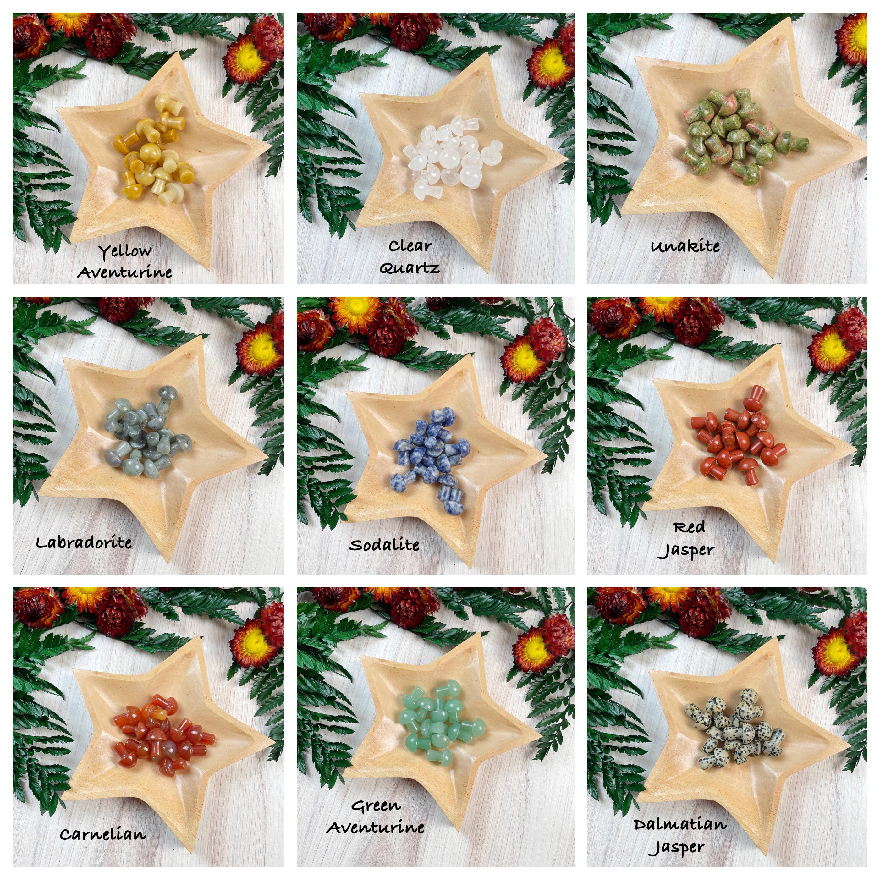 Ewelina Pas Jewelry - Wholesale Spiritual Stone/Crystal - MINI Gemstone Mushroom Pocket Stone2