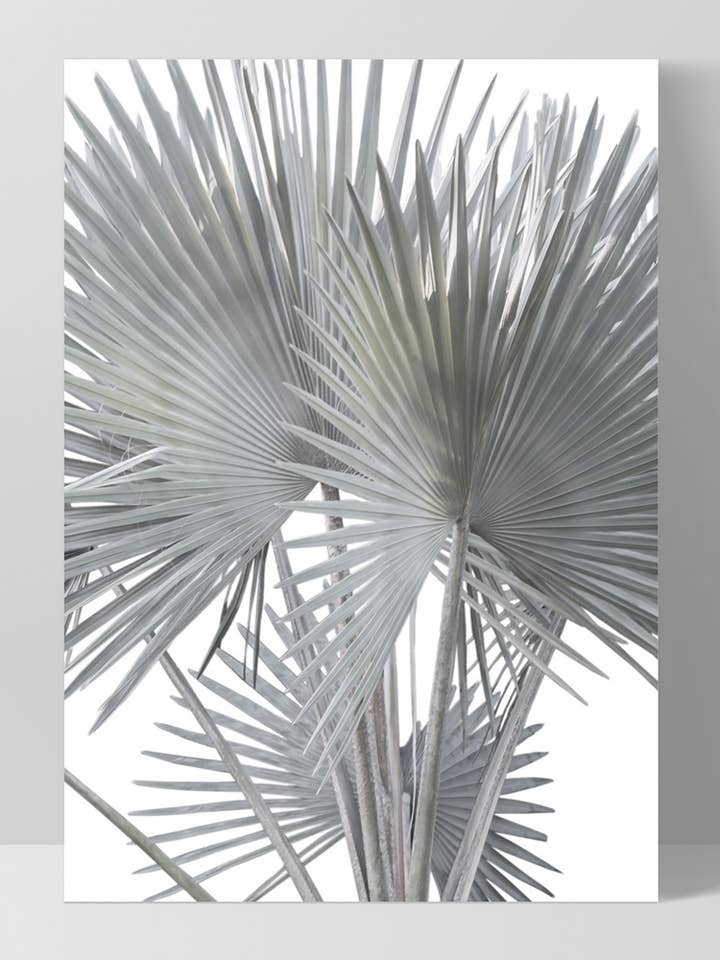 Fan Palm Fronds II Wall Art Print. Pastel Palm Leaf Poster for wholesale by PRINT AND PROPER