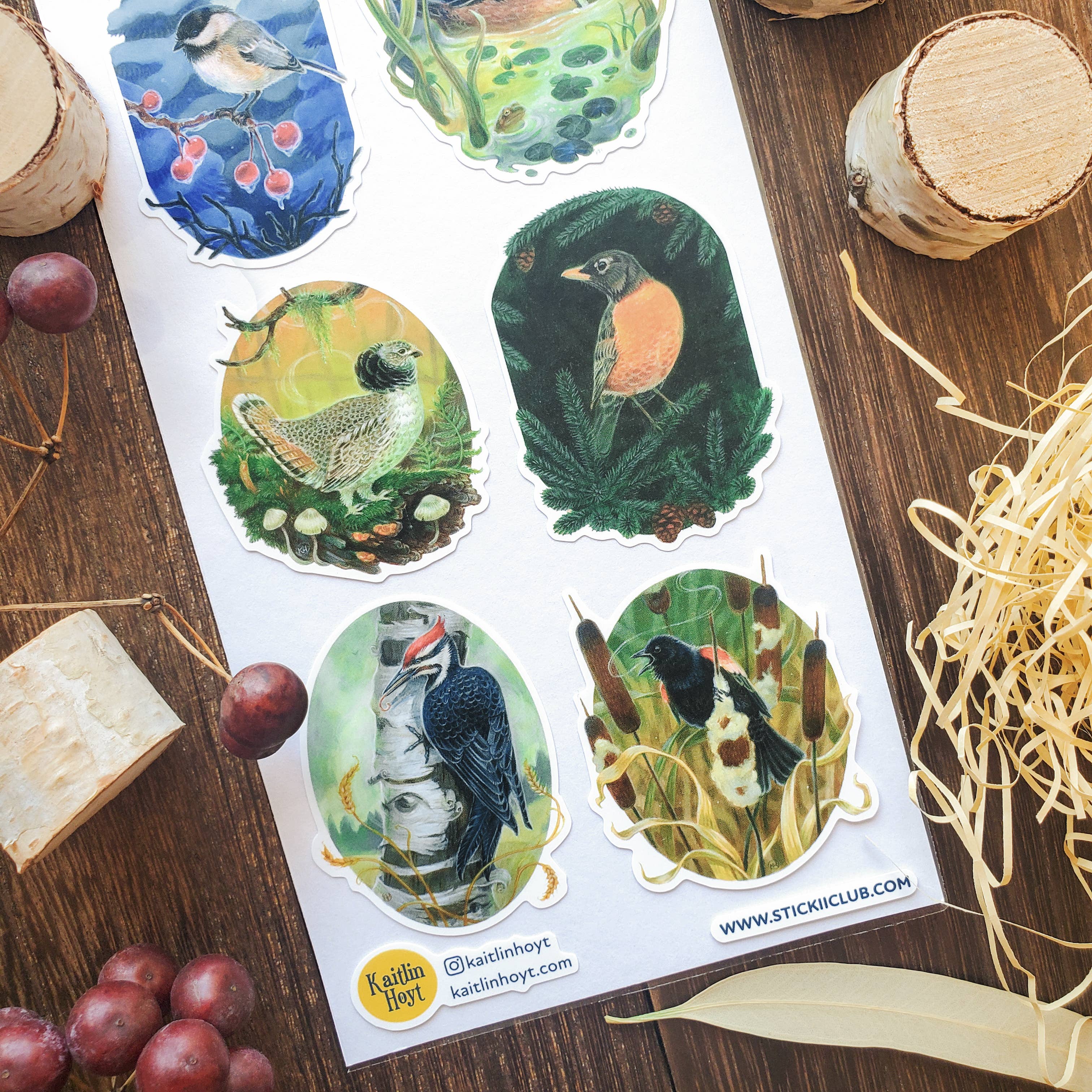 STICKII - Wholesale Sticker - Songbirds of the Seasons Sticker Sheet2