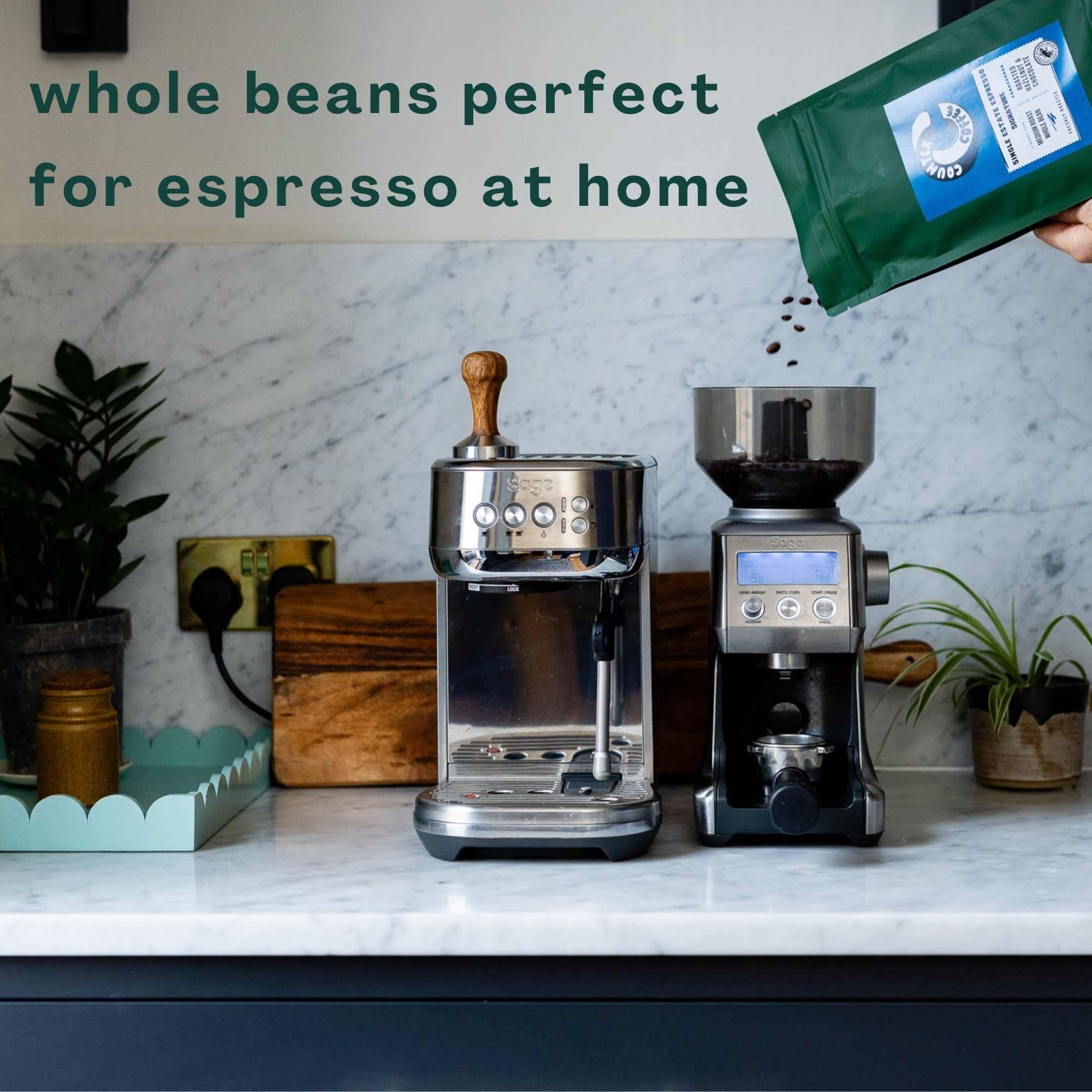 Counter Coffee – wholesale Coffee beans – Wake Up! Espresso Tin10