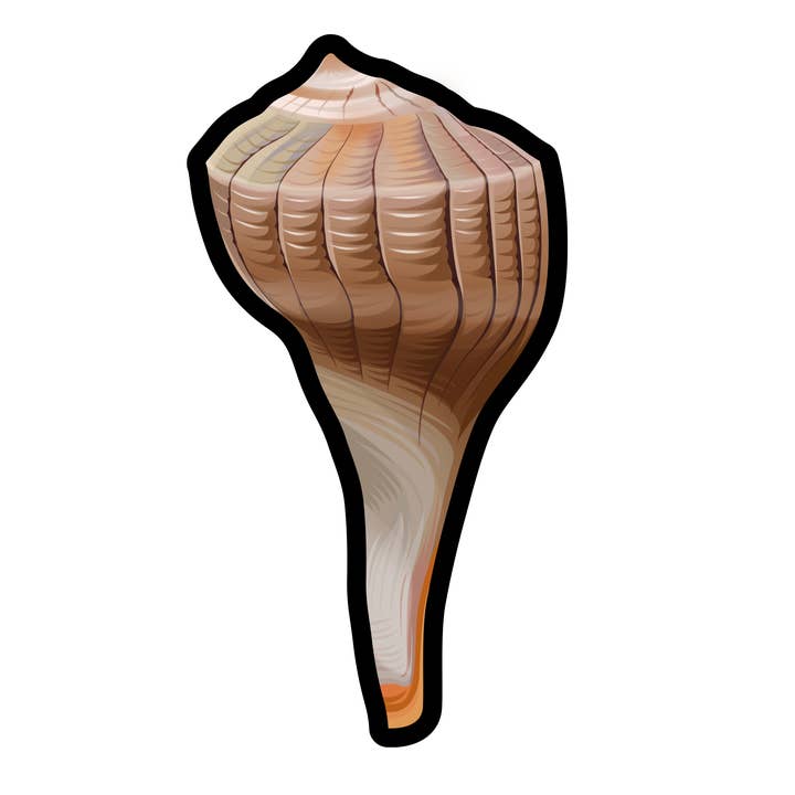 Welks Muschel Mini Aufkleber - 50 Welks Muschel Aufkleber für den Großhandel von Aurora Stickers