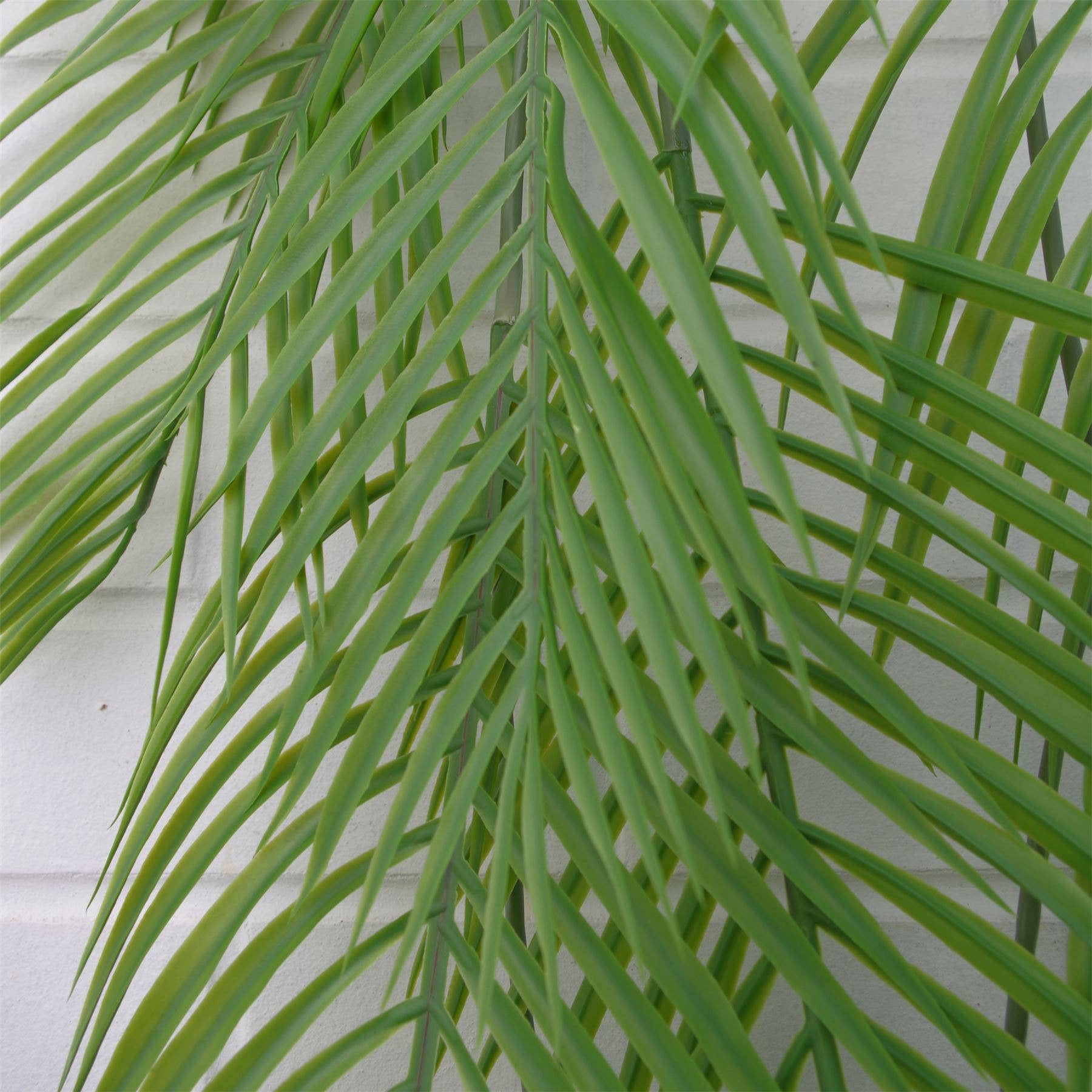 Leaf Design UK LTD - Wholesale Artificial plant - Artificial Palm Hanging Fern Plant XL Long3