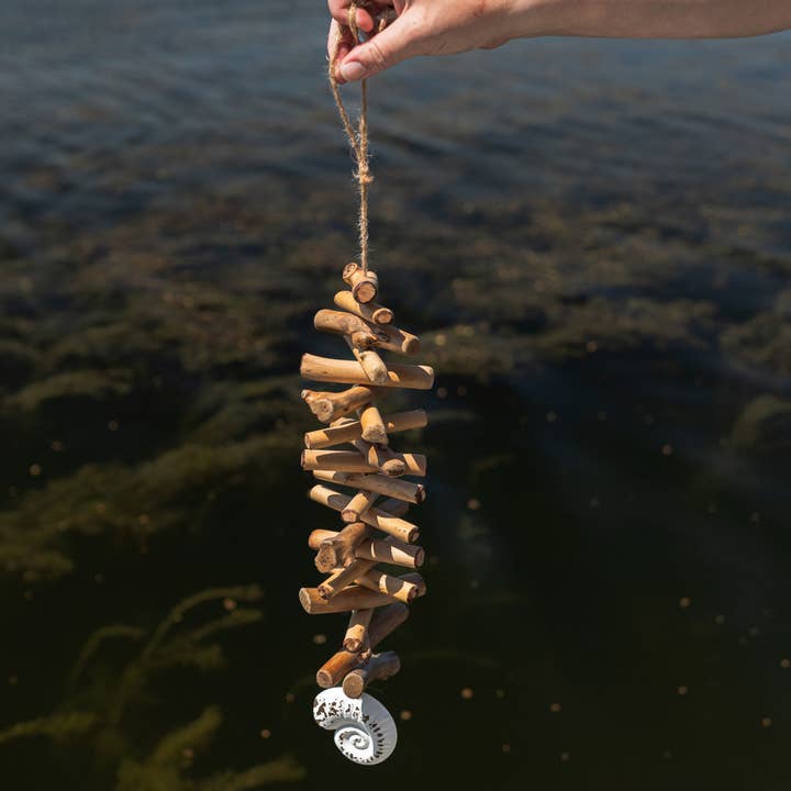 Seashell Coastal Driftwood Hanging Accent for wholesale by Foreside Home & Garden