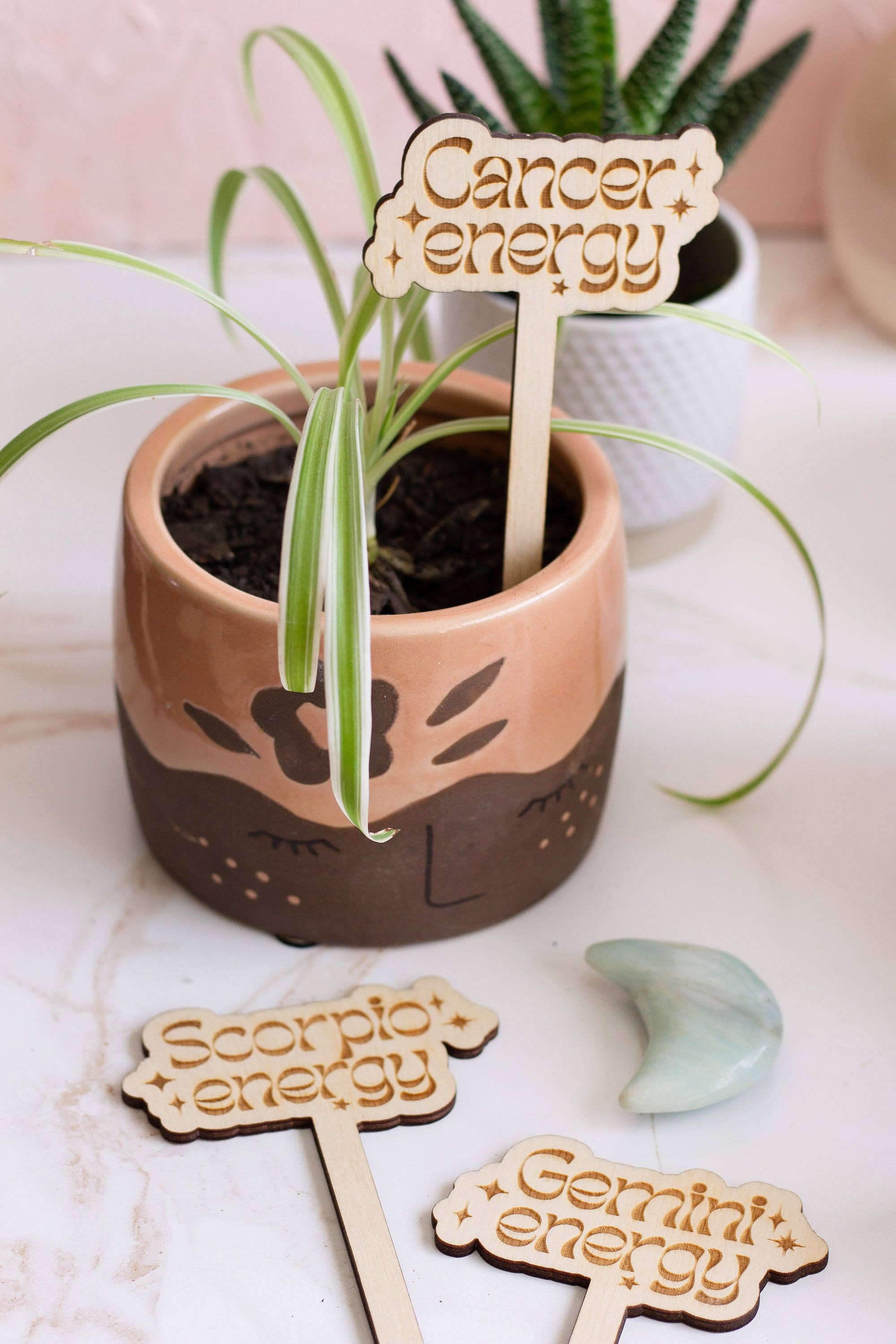 The Print Pantry - Wholesale Garden/Lawn Stake - Astrological Sign Wooden Plant Markers4